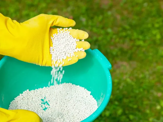 Water Soluble Fertilizer for Fast Plant Growth and Nutrient Absorption - Image 5