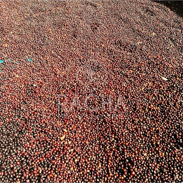 Java Arabica – product photo 4, product detail gallery
