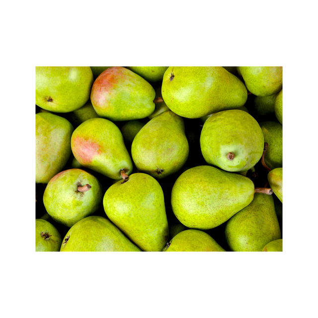 Premium export quality pears Low price - Image 3