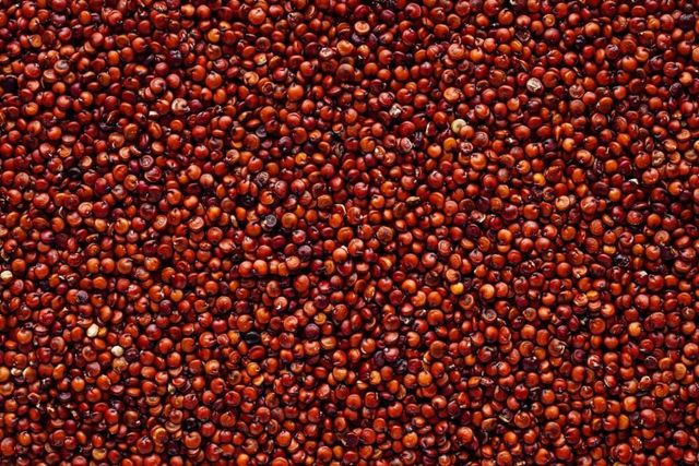 Red Quinoa Seeds, Regular Size, Purity - 99.9 %, Indian Origin - Image 4