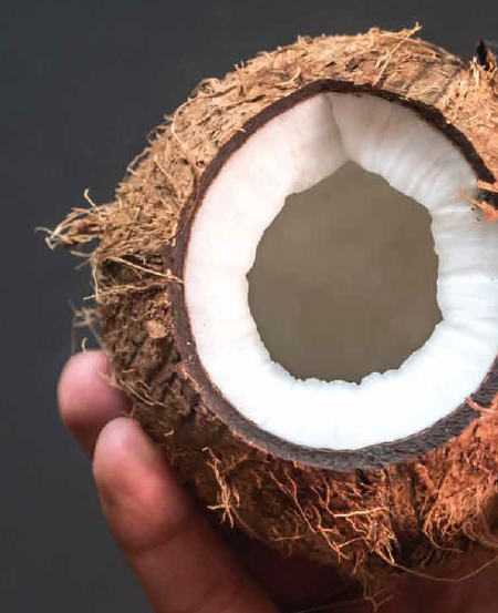 Unsweetened Desiccated Coconut Fine Grade Organic Yes Form Grated Origin Indonesia Degree of Processing Dried - Image 2