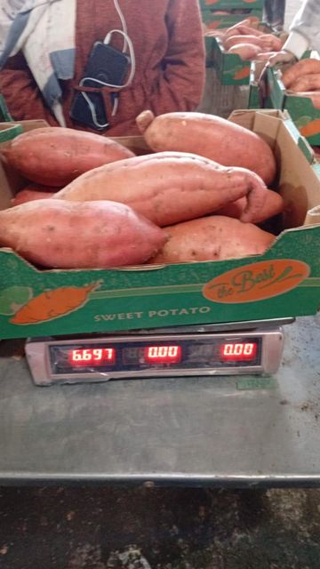 Sweet potatoes Grade 1 Origin Egypt Packaging 6 kg box Features Fresh Produce, Vegetables - Image 4