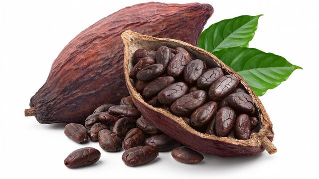 COCOA BEAN Place of Origin CAMEROON Brand Name AGRORAL IMPORT EXPORT - Image 3