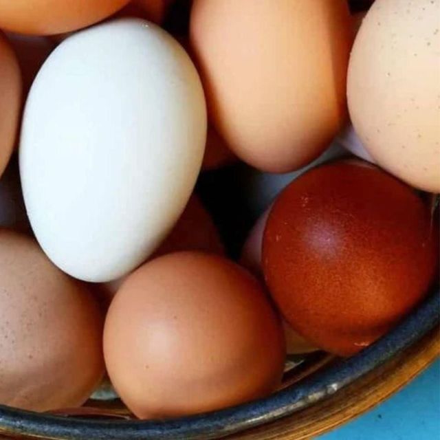 High Quality Fresh Table Chicken Eggs With Strong Shell Chicken Eggs Packed For Safe Transport And Bulk Distribution - Image 3