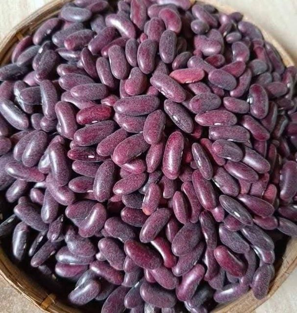 Red Kidney Beans - Image 2