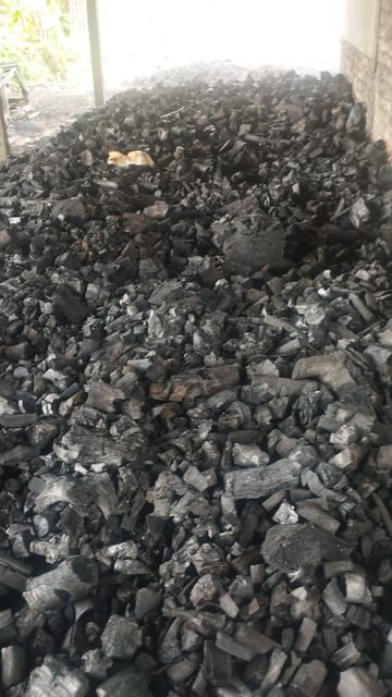 Premium Hardwood Lump Charcoal for Export | BBQ & Restaurant Grade | Low Ash, High Carbon, Long Burning - Image 3