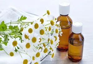 Chamomile Essential Oil Distiller Equipment - Image 1