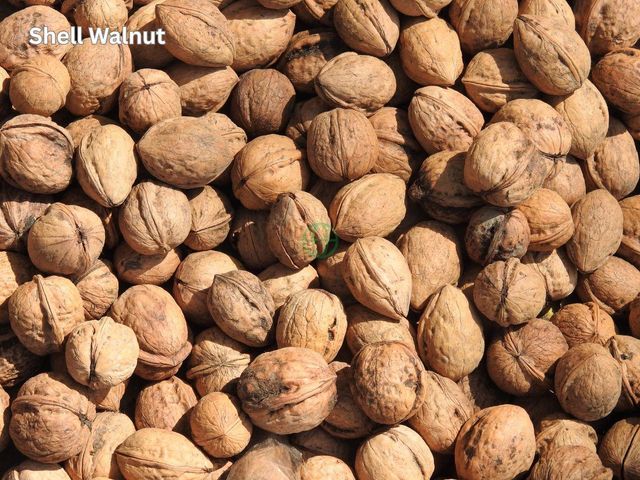 Kashmir Walnut | Shelled, Halves, Broken | India - Image 1