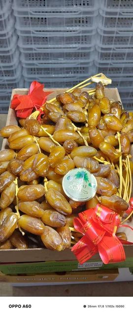 Premium Algerian Dates Deglet Nour 2026, DRIED DATES Grade A, Packaging 5KG Brand Name AGROBDT Technical Specification According to CODEX STAN 143-1985 & ISO 16649-2 - Image 2