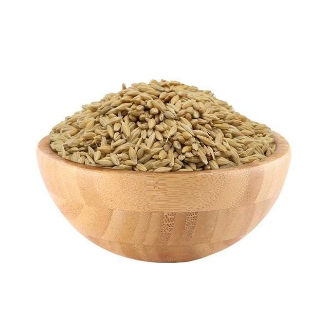 Best Quality Barley for Animal Feed and Human Consumption - Image 5