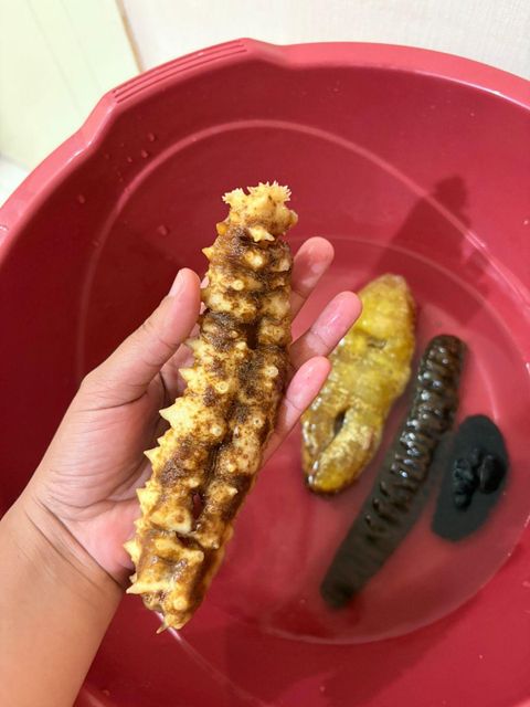 Dried Sea Cucumber Form Whole Drying Method Direct Sunlight Purity Clean From Dust And Sand Origin Indonesian, Indonesian Sea - Image 12