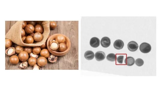 Superior X-ray Inspection Scanner for Food and Beverage Industry - Image 3