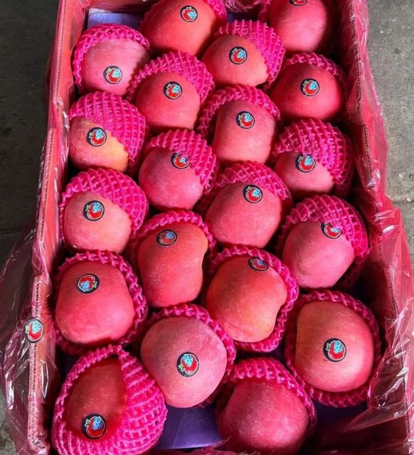 Fuji Apples/Fuji apples, with their crisp texture and sweet-tart flavor, are a delightful fruit that not only pleas – product photo 3, product detail gallery