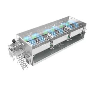 IQF Quick Freezing Equipment 440V 10-150kw 200-6000kgH SUS304 1Y ISO CE - Image 3