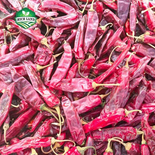 Whole Dried Red Chili Supplier HL 13 Medium spiciness Organic No Chili Type Cayenne Certification HALAL Packaging 10kg/25kg - Image 3