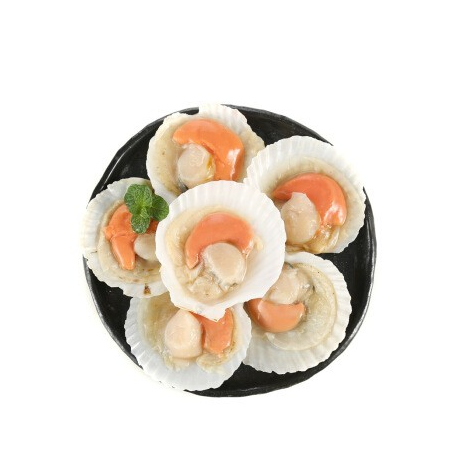 Best Price Frozen Scallop Meat | Frozen Scallop Half Shells Bulk Stock Available With Customized Packing - Image 2