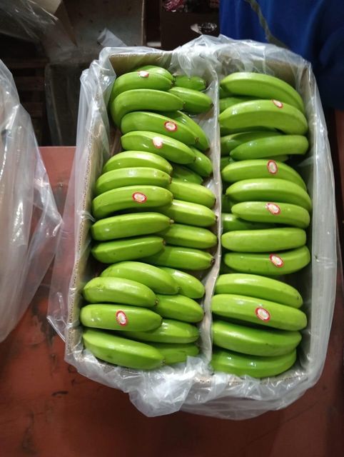 Banana - Image 2