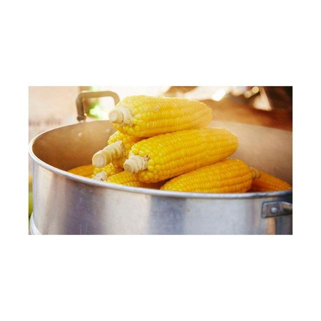 natural yellow corn grains for making cornmeal tortillas corn flour snacks and traditional recipes high quality whole corn rich in nutrients fiber and natural flavor ideal for cooking baking and healthy diets - Image 4