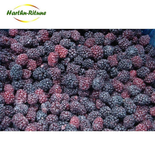 Good price Bulk IQF berries frozen blackberry fruits Content no Address no Style FROZEN Weight (kg) 10 Ingredients no Taste - Image 5