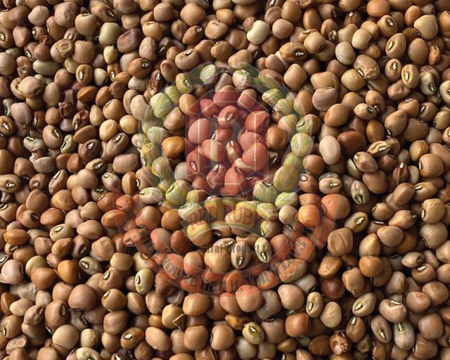 Brown Eye Beans Size 6 Style Dried Weight (kg) 25 Drying Process AD Brand Name Red Ruby Place of Origin Myanmar Address Yangon, - Image 1