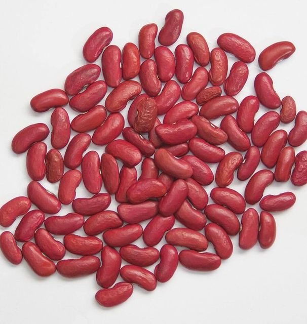 TOP QUALITY RED KIDNEY BEANS Trusted Supplier & Exporter - Image 4