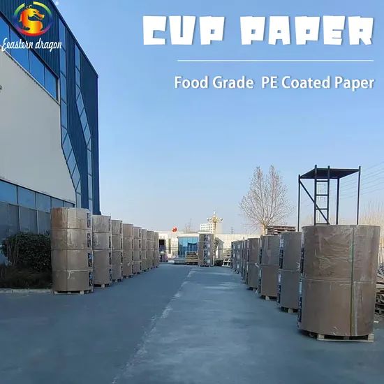 230g Double PE Coated Paper/Tea Cup paper - Image 2