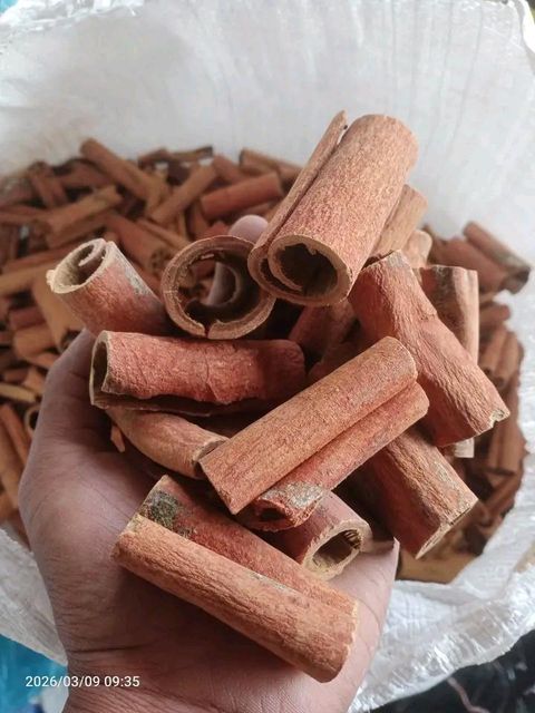 cinnamon stick - Image 1