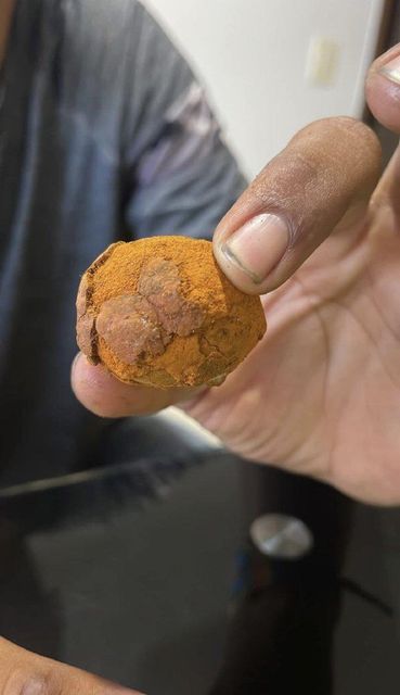 Quality Cow gall stones – product photo 2, product detail gallery