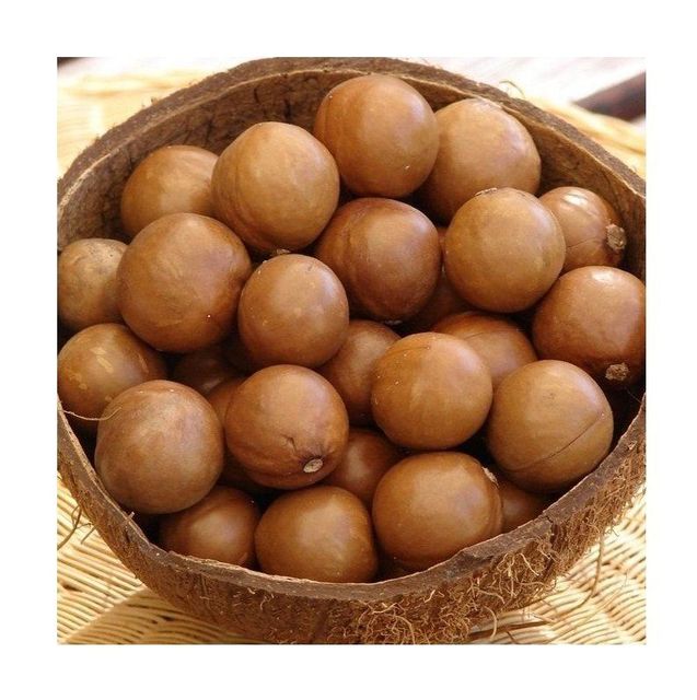 Raw Macadamia Nuts Without Shell from Brazil Grade A Impurities 1% Max Type Macadamia nuts Max. Moisture (%) 5 Moisture Content 5% Max - Image 2