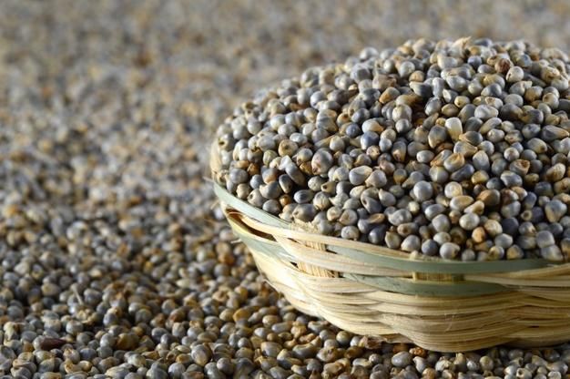 pearl millet Origin India Features Gluten-Free, Lactose-Free, Vegan Product Type Cereal, Cereals & Cereal Products - Image 2