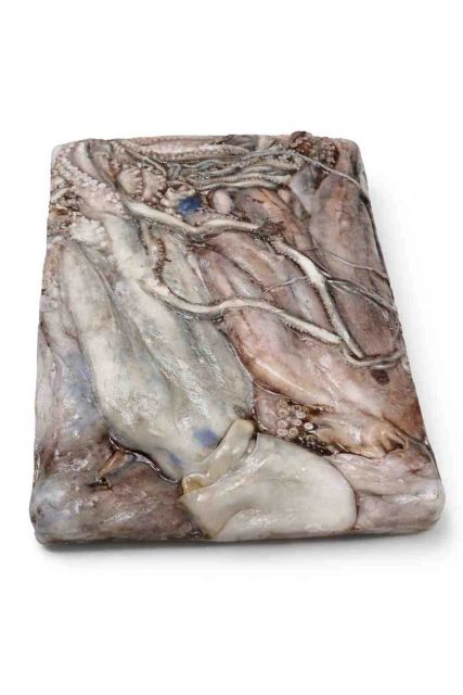 Block Frozen Octopus - Image 2