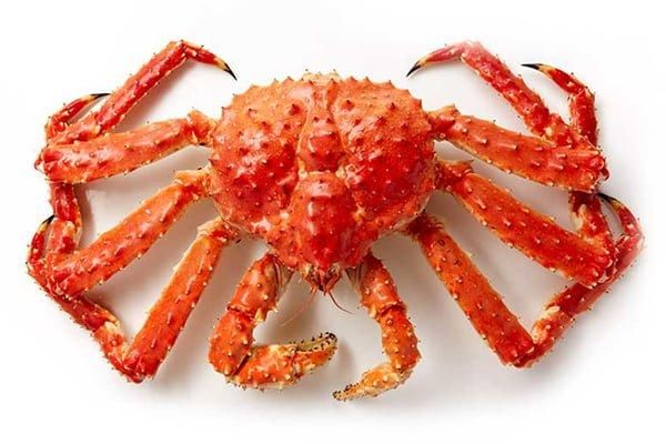 Good Quality Fresh,Frozen,Live Red King Crabs, Soft Shell Crabs - Image 1
