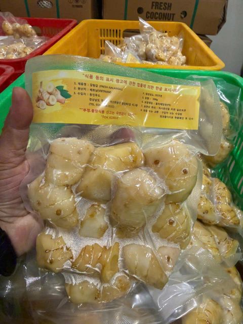 Fresh Galangal Grade A Shelf Life 30 Appearance Fresh Port Ho Chi Minh Weight (kg) 500gr Temperature 5C, 5c Flavor Authentic Depth - Image 3