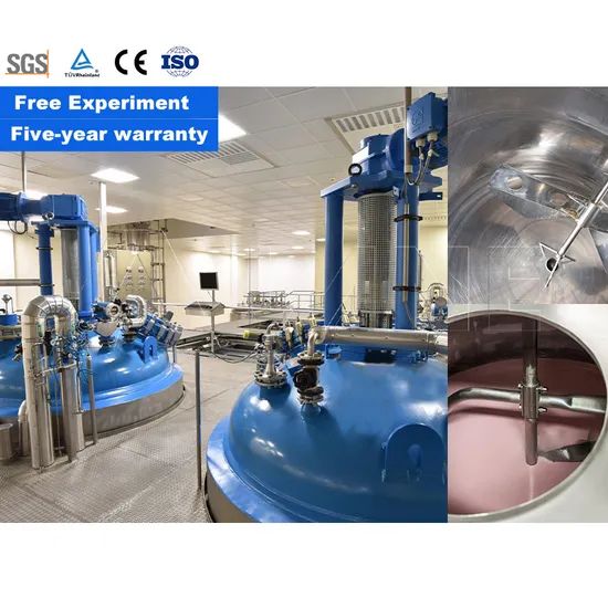 Lane Multi-Function Electric Stirring Stainless Steel Reaction Dispersing Emulsifying Kettle for Chemical - Image 5