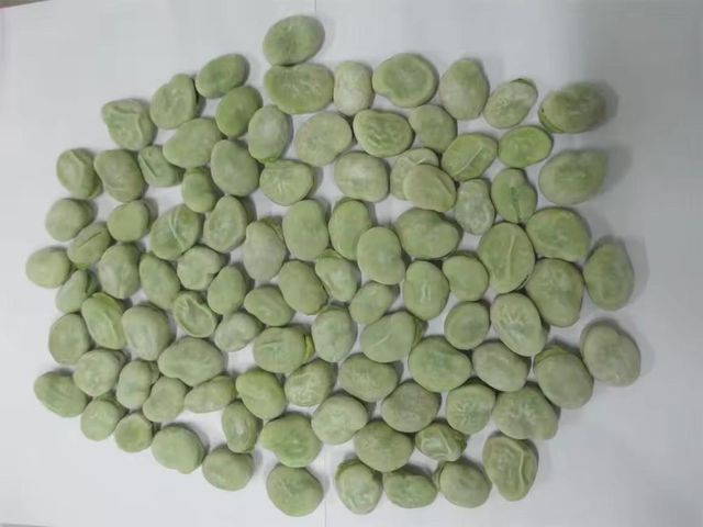 Wholesale IQF Frozen Peeled Broad Beans Grade A - Image 5