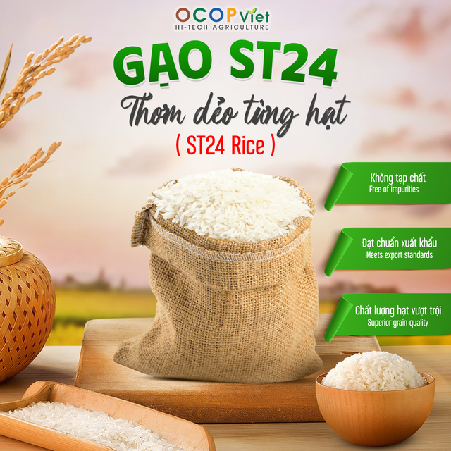 ST24 Rice - Image 1