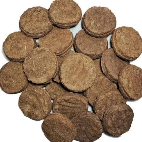Cow Dung Cakes - Image 4
