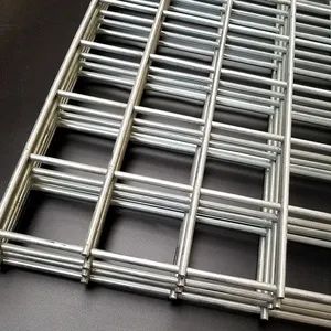 Galvanized Welded Wire Mesh for Garden Beds Origin China Color Silver Condition New Type Welded Mesh HS Code 73143900 Trademark DONGFU - Image 4