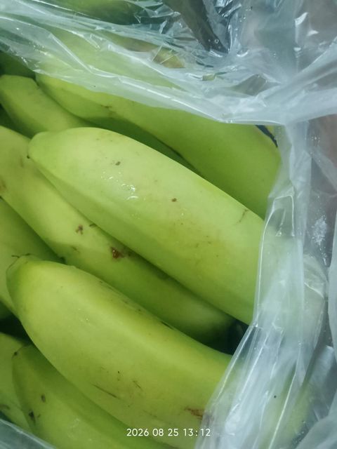 Banana Cavendish - Image 1