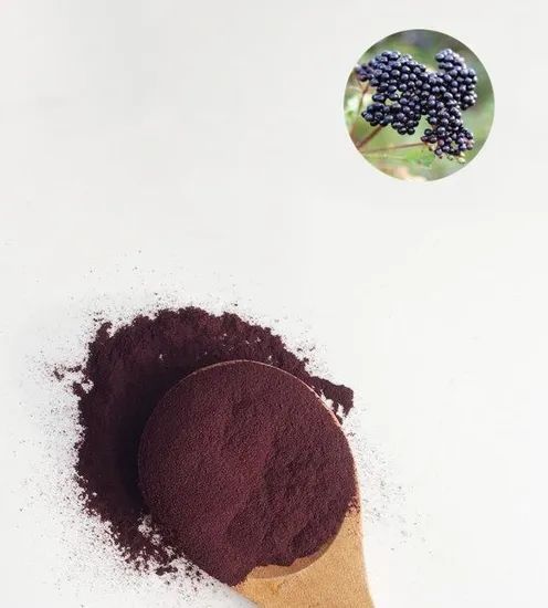 Pure Water Soluble Spray Dried Maqui Berry Concentrate Juice Powder - Image 3