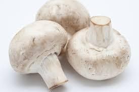 white mushroom Shape Rod Color White Size 5-6 cm Style FROZEN Certification ISO Brand Name Vdelta Type Oyster Mushroom Shelf Life 12 - Image 3