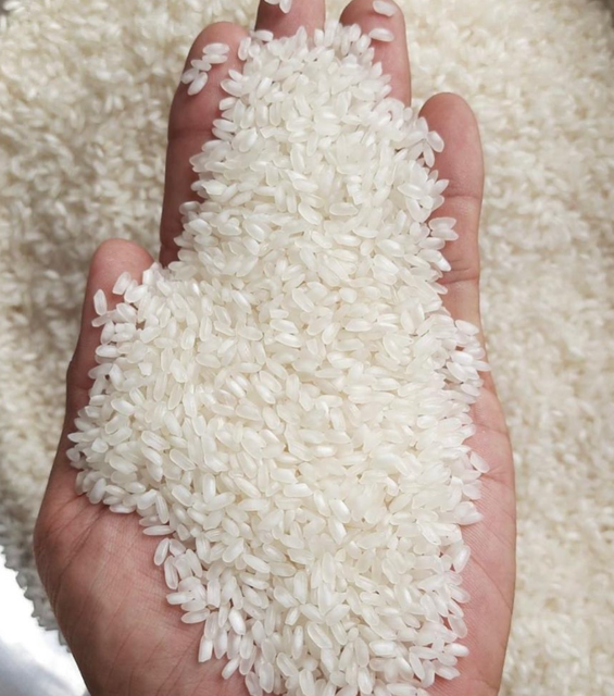 Calrose Medium Rice, High Quality, 5% Broken Max. Moisture (%) 14.5% MAX Size Medium Grain Rice - Image 3