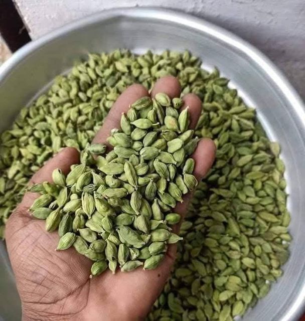 Green Cardamom 8MM, 7MM, 6MM AVAILABLE - Image 2
