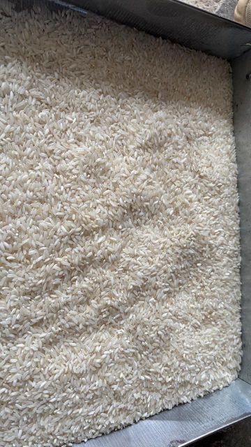IR 64 White Rice Long Grain 5% Broken - Image 1