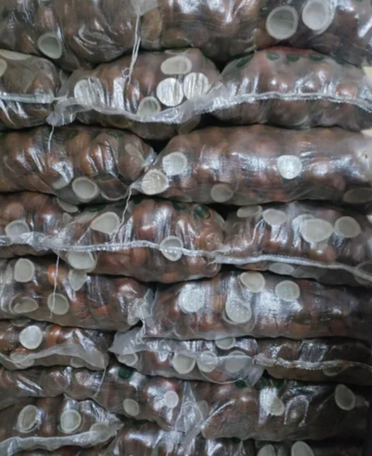 Dry Half Coconut – product photo 4, product detail gallery