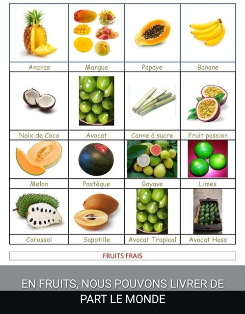 Fresh Fruits - Image 1