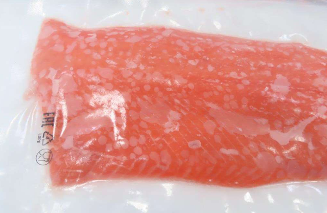 Salmon - Image 2