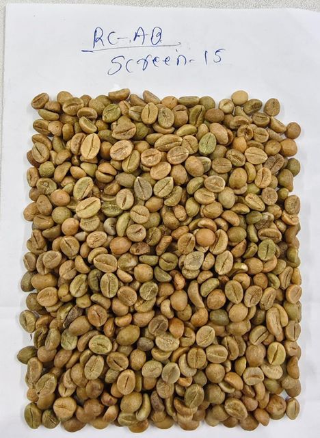 Coffee green bean Indian origin Arabica plantation AA and Robusa Cherry AA - Image 3