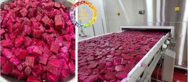 Premium Export Quality IQF Frozen Dragon Fruit Sweet Slices Cubes Dices Half-Cut Vacuum Packed Tropical Fruit - Image 1