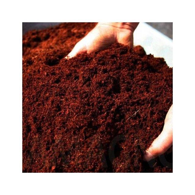 High quality peat moss for soil enrichment at wholesale bulk rates - Image 4